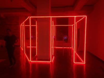 Flex Neon Light Structure for Dr. Gross