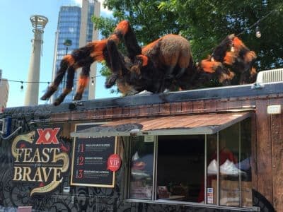Giant Tarantula Prop for Dos Equis