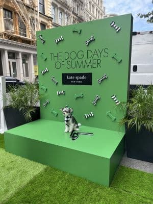 Kate Spade summer display