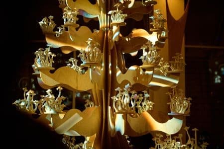 Wooden Frame for Untitled Studio's Large Scale Fungus Tree
