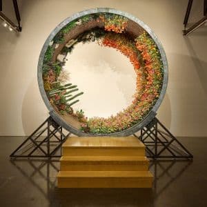 Wander Wheel